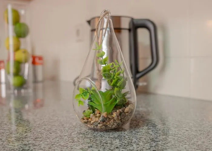 Sea House Appartement